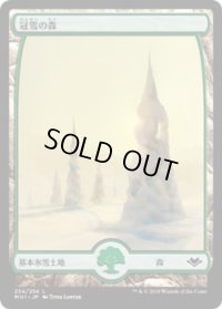 冠雪の森/Snow-Covered Forest (MH1)《Foil》
