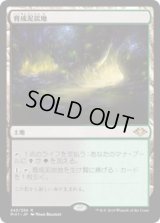育成泥炭地/Nurturing Peatland (MH1)《Foil》