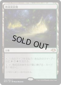 育成泥炭地/Nurturing Peatland (MH1)《Foil》