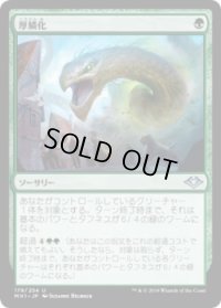 厚鱗化/Scale Up (MH1)《Foil》