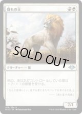 群れの王/King of the Pride (MH1)《Foil》