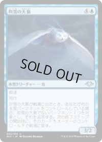 吹雪の大梟/Blizzard Strix (MH1)《Foil》