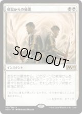 帰寂からの帰還/Brought Back (Prerelease Card)