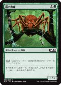 梢の蜘蛛/Canopy Spider (M20)