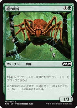 画像1: 梢の蜘蛛/Canopy Spider (M20)