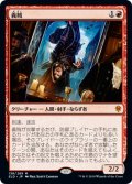 義賊/Robber of the Rich (ELD)