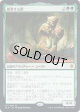 探索する獣/Questing Beast (ELD)