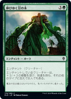 画像1: 伸びゆく豆の木/Tall as a Beanstalk (ELD)《Foil》