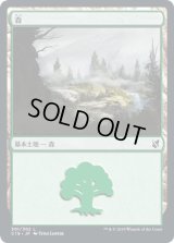 森/Forest 【Ver.2】 (C19)