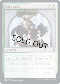 隔離する成長/Sundering Growth (C19)