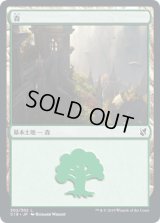 森/Forest 【Ver.3】 (C19)