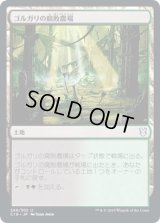 ゴルガリの腐敗農場/Golgari Rot Farm (C19)