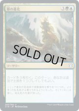 都の進化/Urban Evolution (C19)