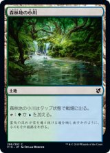 森林地の小川/Woodland Stream (C19)