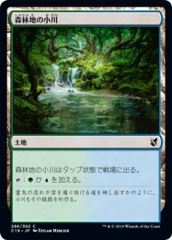 画像1: 森林地の小川/Woodland Stream (C19)