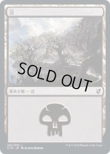沼/Swamp 【Ver.1】 (C19)