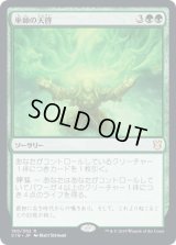 巫師の天啓/Shamanic Revelation (C19)