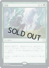 満開/Full Flowering (C19)