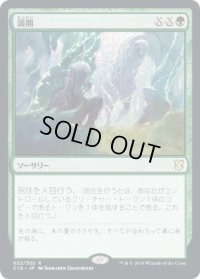 満開/Full Flowering (C19)