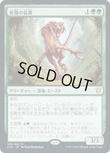 死霧の猛禽/Deathmist Raptor (C19)