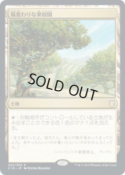 画像1: 風変わりな果樹園/Exotic Orchard (C19)
