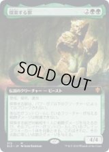 探索する獣/Questing Beast (ELD)【拡張アート枠】《Foil》