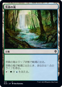 画像1: 茨森の滝/Thornwood Falls (ELD)