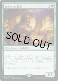 セテッサの勇者/Setessan Champion (THB)《Foil》