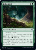 狼柳の安息所/Wolfwillow Haven (THB)《Foil》
