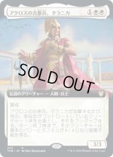アクロスの古参兵、タラニカ/Taranika, Akroan Veteran (THB)【拡張アート枠】《Foil》