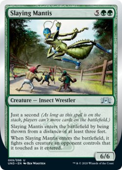画像1: Slaying Mantis (UND)