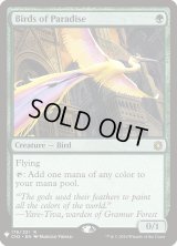 極楽鳥/Birds of Paradise (Mystery Booster)