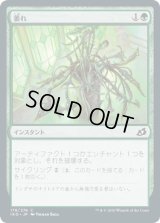 萎れ/Wilt (IKO)《Foil》
