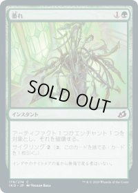 萎れ/Wilt (IKO)《Foil》