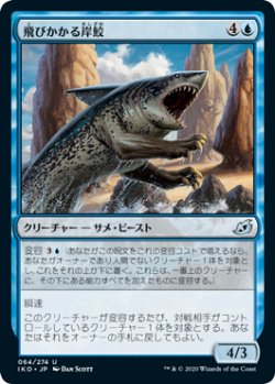 画像1: 飛びかかる岸鮫/Pouncing Shoreshark (IKO)《Foil》