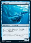 潜界イルカ/Phase Dolphin (IKO)