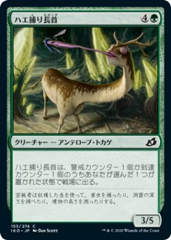 画像1: ハエ捕り長首/Flycatcher Giraffid (IKO)