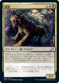 屍豹/Necropanther (IKO)《Foil》