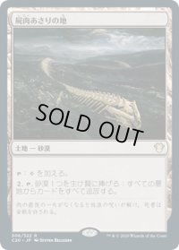 屍肉あさりの地/Scavenger Grounds (C20)