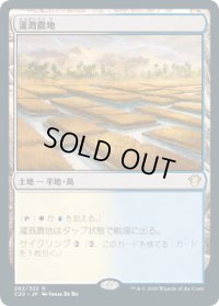 灌漑農地/Irrigated Farmland (C20)