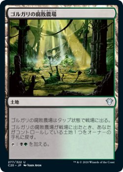 画像1: ゴルガリの腐敗農場/Golgari Rot Farm (C20)