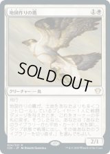 地図作りの鷹/Cartographer's Hawk (C20)