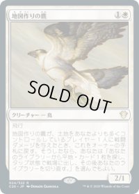 地図作りの鷹/Cartographer's Hawk (C20)