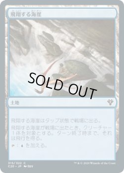 画像1: 飛翔する海崖/Soaring Seacliff (C20)