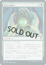 進化の魔除け/Evolution Charm (C20)