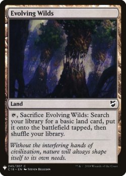 画像1: 進化する未開地/Evolving Wilds (Mystery Booster)