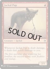 ジャッカルの仔/Jackal Pup (Mystery Booster)