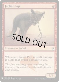 ジャッカルの仔/Jackal Pup (Mystery Booster)