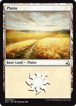 画像1: 平地/Plains (GS1)