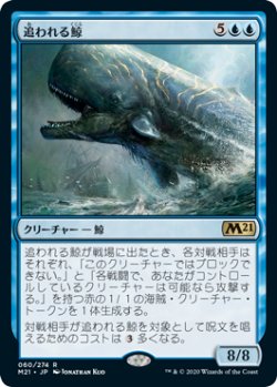 画像1: 追われる鯨/Pursued Whale (M21)